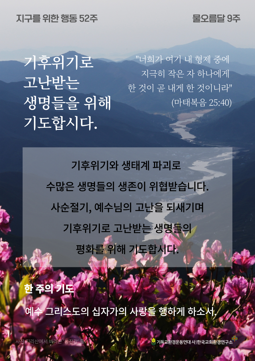 지구를 위한 행동 9주_기후위기로 고난받는 생명들을 위해 기도합니다.png