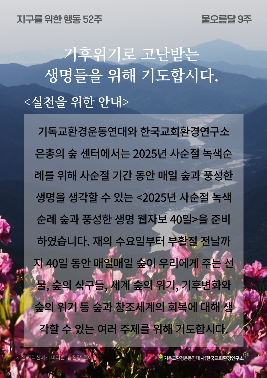 지구를 위한 행동 9주_기후위기로 고난받는 생명들을 위해 기도합시다.(실천을 위한 안내).png